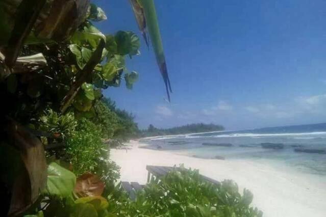 Moorea Temae Bungalow Lory Bord De Mer Exterior photo